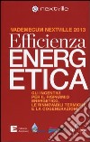 Efficienza energetica. Gli incentivi per il risparmio energetico, le rinnovabili termiche e la cogenerazione. Vademecum Nextville 2013 libro di Bruno A. (cur.)