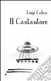 Il cantautore libro