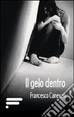 Il gelo dentro libro