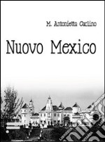 Nuovo Mexico libro