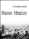 Nuovo Mexico libro