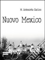 Nuovo Mexico libro