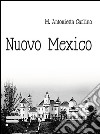 Nuovo Mexico libro