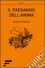 Il paesaggio dell'anima libro