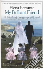 My brilliant friend. Vol. 1 libro