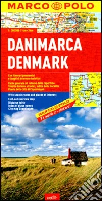 Danimarca 1:300.000. Ediz. multilingue