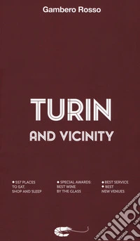 Turin and vicinity