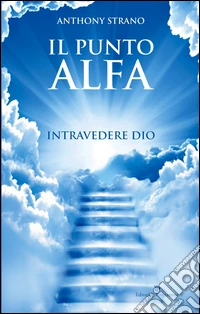 Il punto alfa. Intravedere Dio libro