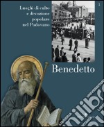 Luoghi di culto e di devozione nel padovano. Vol. 3: Benedetto libro