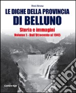 Le dighe della provincia di Belluno. Storia e immagini. Vol. 1: Dall'Ottocento al 1945 libro