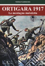 Ortigara 1917. La montagna maledetta libro