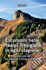 Escursioni nelle Prealpi Trevigiane in ogni stagione. Percorsi per tutti da Segusino a Passo San Boldo libro