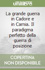 La grande guerra in Cadore e in Carnia. Il paradigma perfetto della guerra di posizione libro