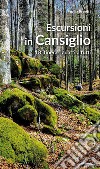 Escursioni in Cansiglio. 18 itinerari adatti a tutti libro di Poletti Ennio
