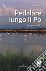 Pedalare lungo il Po. 16 itinerari in bici libro