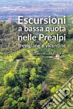 Escursioni a bassa quota nelle Prealpi Trevigiane e Vicentine. 12 percorsi adatti a tutti libro