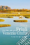 Gite fuori porta in Friuli Venezia Giulia. Guida a 16 luoghi imperdibili libro