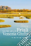 Gite fuori porta in Friuli Venezia Giulia. Guida a 16 luoghi imperdibili libro di Simionato Stefania