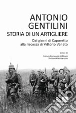 Storia di un artigliere. Dai giorni di Caporetto alla riscossa di Vittorio Veneto libro