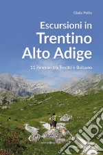 Escursioni in Trentino Alto Adige. 11 itinerari tra Trento e Bolzano libro