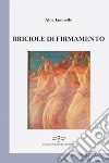 Briciole di firmamento libro