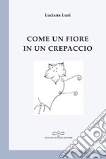 Come un fiore in un crepaccio