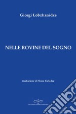 Nelle rovine del sogno libro