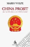 China Prosit. Quanto potrebbe costarci caro questo brindisi con la Cina? libro