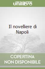 Il novelliere di Napoli