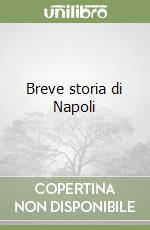 Breve storia di Napoli libro