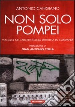 Non solo Pompei. Viaggio nell'archeologia derelitta in Campania libro