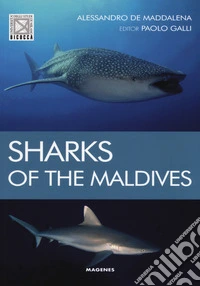 Sharks of the maldives