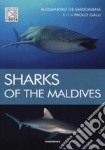 Sharks of the maldives