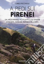 A piedi sui Pirenei. Dal Mediterraneo all'Atlantico sui sentieri di banditi, cavalieri, pastori e pellegrini libro