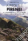 A piedi sui Pirenei. Dal Mediterraneo all'Atlantico sui sentieri di banditi, cavalieri, pastori e pellegrini libro