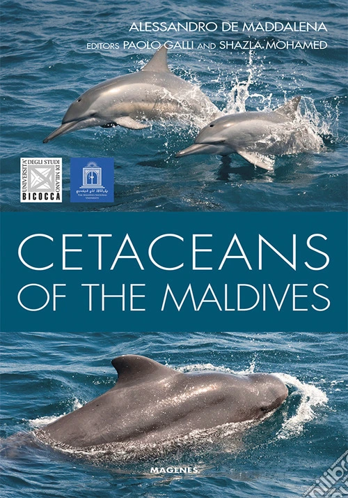 Cetaceans of the Maldives