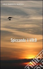 Spiccando il volo