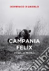 Campania Felix. Un giallo piccolo libro