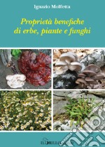 Proprietà benefiche di erbe, piante e funghi