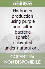 Hydrogen production using purple non-sulfur bacteria (pnsb) cultivated under natural or artificial light conditions with synthetic or fermentation derived substrates libro