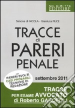 Tracce di pareri penale con pareri svolti, casi probabili, tecniche di redazione