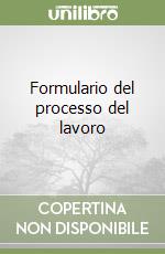 Formulario del processo del lavoro libro