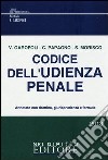 Codice dell'udienza penale libro