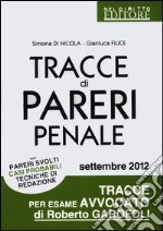 Tracce di pareri penale con pareri svolti, casi probabili, tecniche di redazione