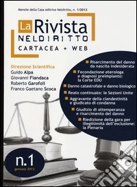 La rivista di Neldiritto (2013) (1) libro
