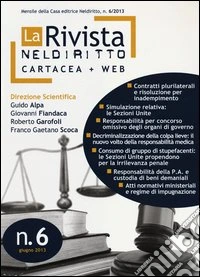 La rivista di Neldiritto (2013) (6) libro