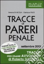 Tracce di pareri penale con pareri svolti, casi probabili, tecniche di redazione