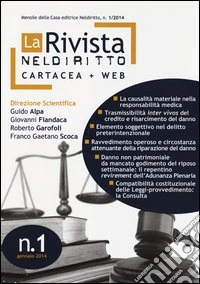 La rivista di Neldiritto (2014) (1) libro