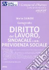 Compendio di diritto del lavoro, sindacale e della previdenza sociale libro