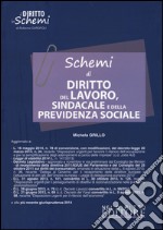 Schemi di diritto del lavoro, sindacale e della previdenza sociale libro